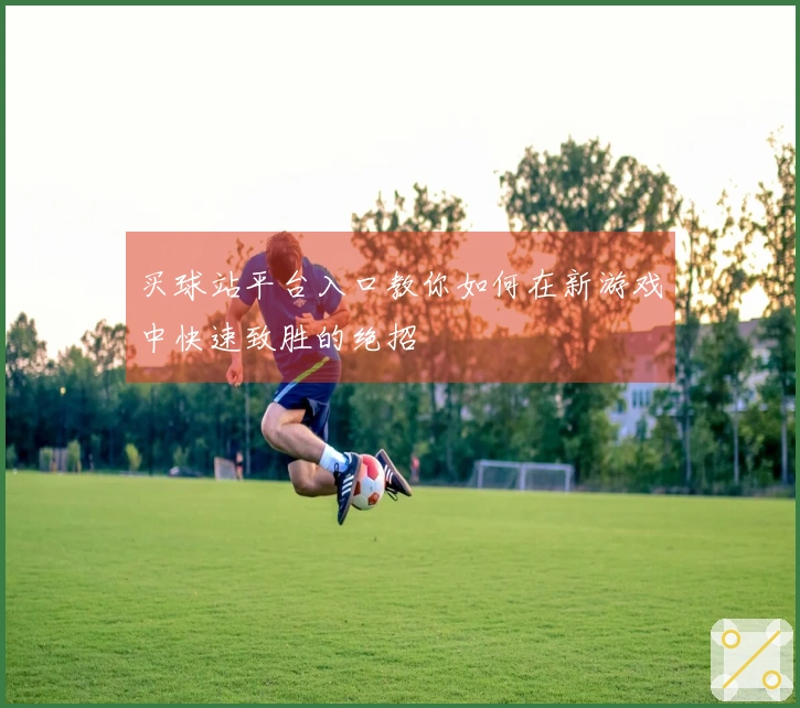 买球站平台入口教你如何在新游戏中快速致胜的绝招
