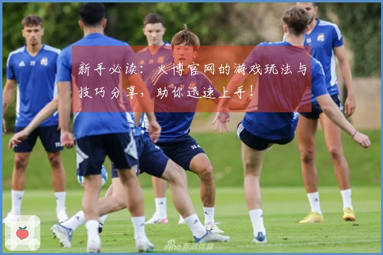 新手必读：火博官网的游戏玩法与技巧分享，助你迅速上手！